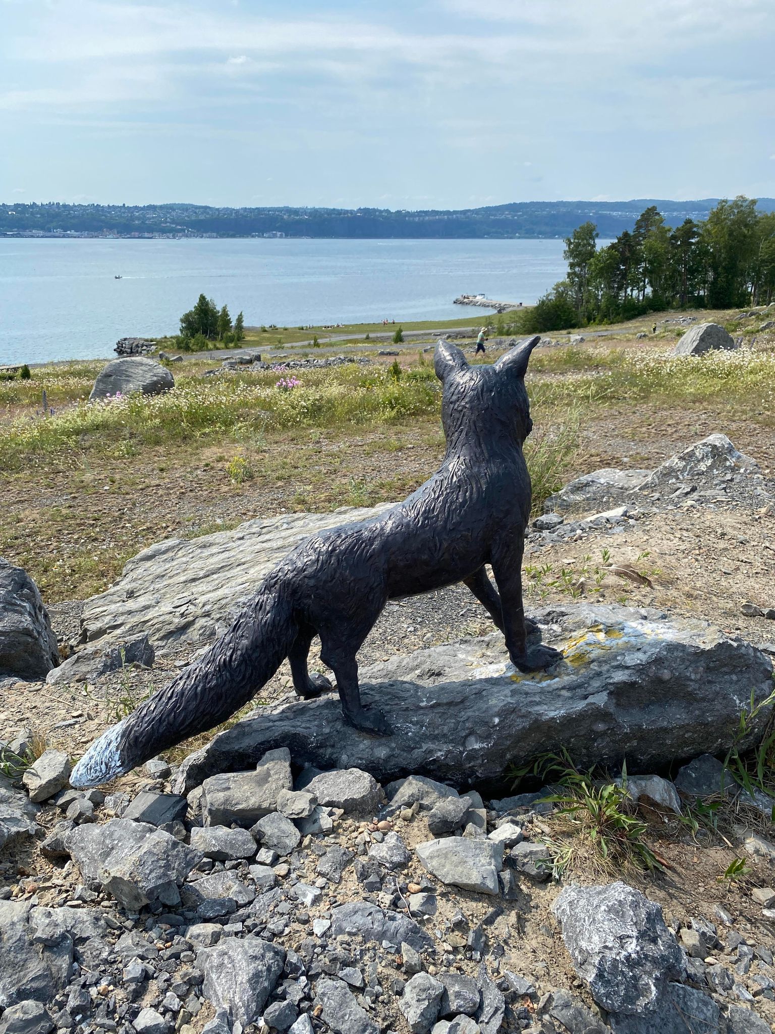 NOAH tilbakefører naturen på Langøya